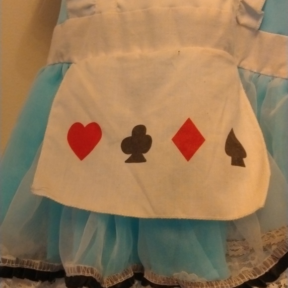 Alice in wonderland costume - Picture 2 of 8